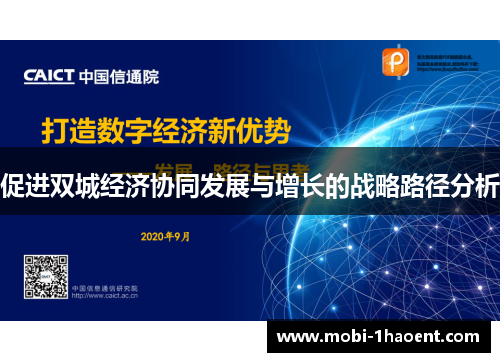 促进双城经济协同发展与增长的战略路径分析