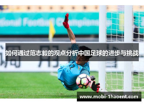 如何通过范志毅的观点分析中国足球的进步与挑战