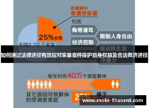 如何通过法律途径有效应对家暴案件保护自身权益及合法救济途径