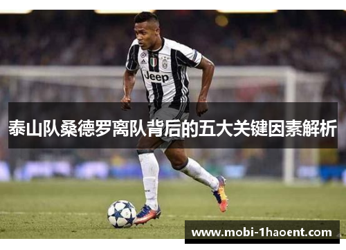泰山队桑德罗离队背后的五大关键因素解析