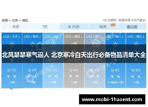 北风瑟瑟寒气逼人 北京寒冷白天出行必备物品清单大全