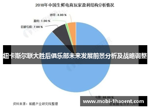 纽卡斯尔联大胜后俱乐部未来发展前景分析及战略调整