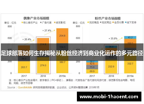 足球部落如何生存揭秘从粉丝经济到商业化运作的多元路径