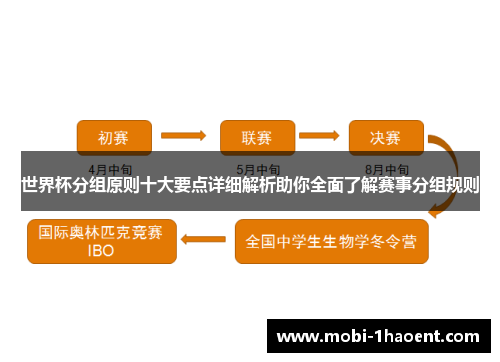 世界杯分组原则十大要点详细解析助你全面了解赛事分组规则
