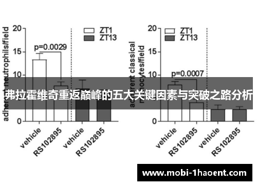 弗拉霍维奇重返巅峰的五大关键因素与突破之路分析
