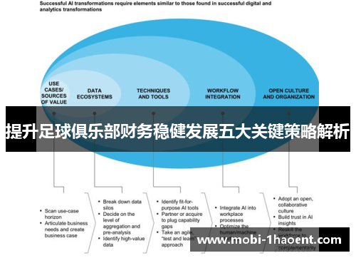 提升足球俱乐部财务稳健发展五大关键策略解析 提升足球俱乐部财务稳健发展五大关键策略解析
