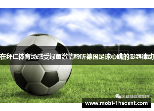 在拜仁体育场感受绿茵激情聆听德国足球心跳的澎湃律动 在拜仁体育场感受绿茵激情聆听德国足球心跳的澎湃律动