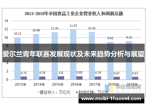 爱尔兰青年联赛发展现状及未来趋势分析与展望
