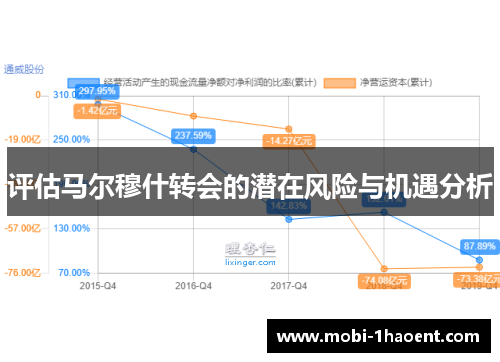 评估马尔穆什转会的潜在风险与机遇分析